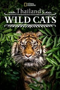 Thailand’s Wild Cats [Subtitulado]
